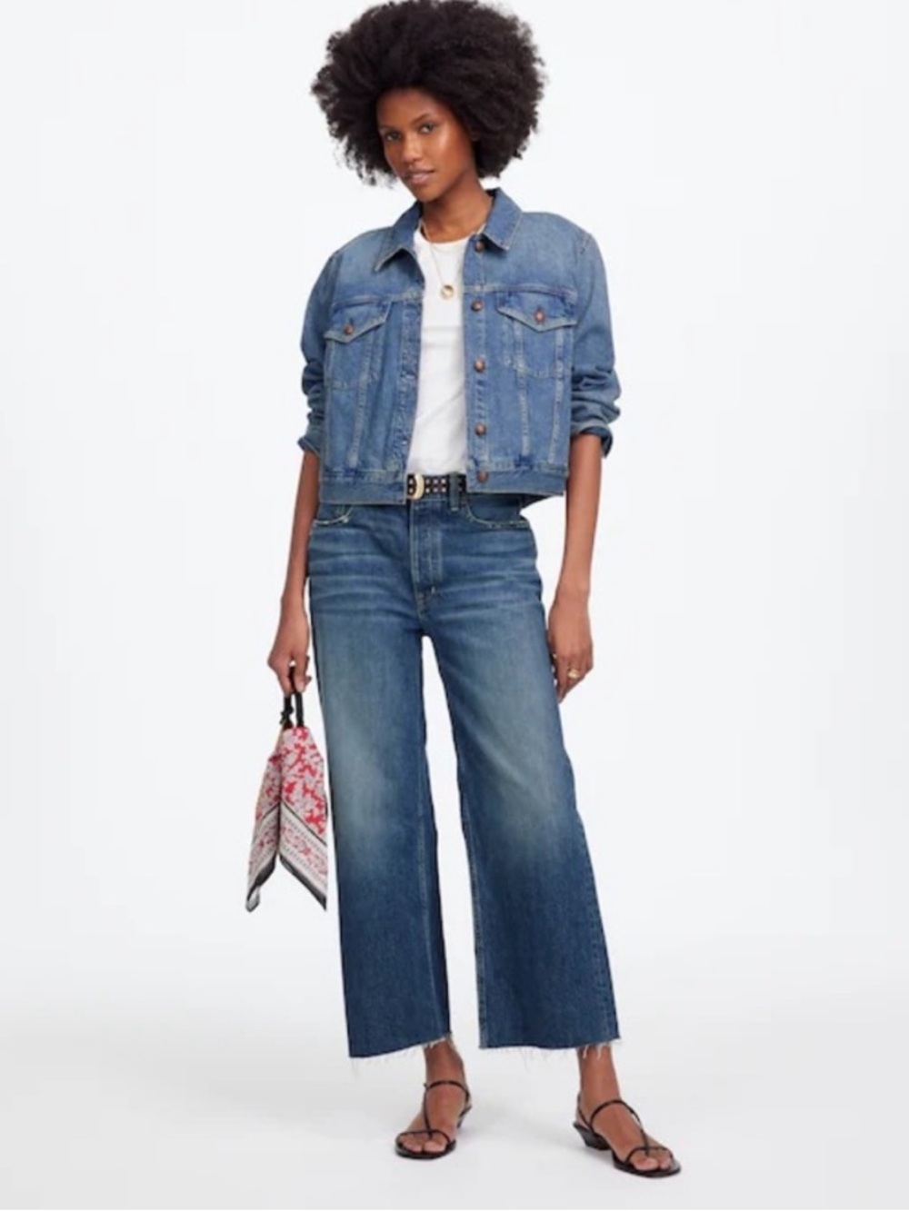 NWT Madewell Low-Slung Baggy Crop Jeans in Croswell Wash Sz 26